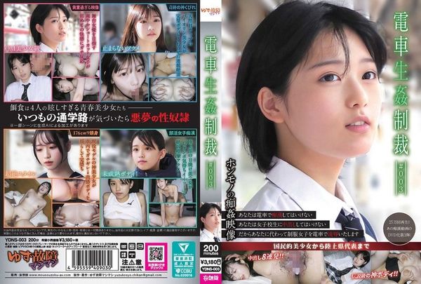 YDNS-003 電車生姦制裁 ＃003