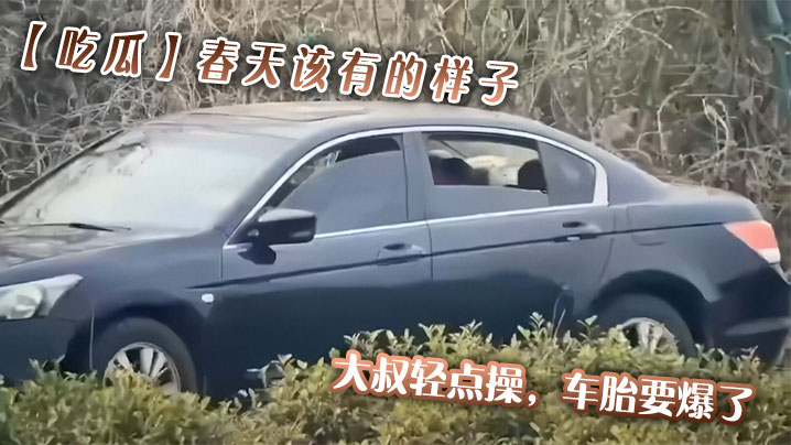【吃瓜】春天该有的样子，大叔轻点操，车胎要爆了